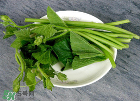 南瓜葉怎么處理？南瓜葉怎么炒？
