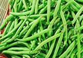 7月份可以種豆角嗎？豆角幾月份種？
