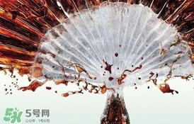 運動后可以喝可樂嗎？運動后喝可樂會胖嗎？