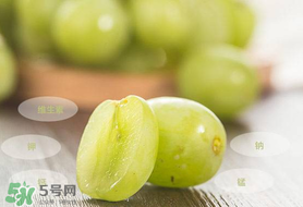 青提怎么保存？青提可以放冰箱嗎？