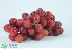 紅提多少錢(qián)一斤？紅提子多少錢(qián)一斤？