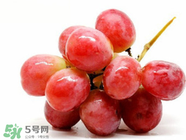 紅提可以放冰箱嗎？紅提放冷庫怎么保存？