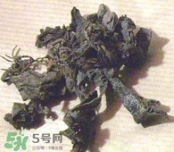 昆布與海帶有什么不同？昆布和海帶的區別