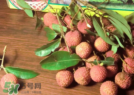 增城掛綠荔枝最貴多少錢？掛綠荔枝和普通荔枝有什么區別