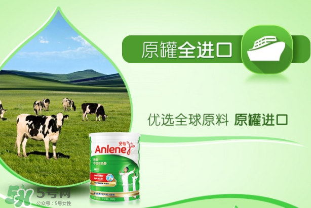Anlene安怡奶粉怎么樣？Anlene安怡奶粉好不好？