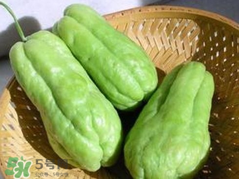 佛手瓜發(fā)芽了可以吃嗎？佛手瓜怎么吃？