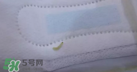 高潔絲衛生巾有蟲嗎？高潔絲衛生巾有熒光劑