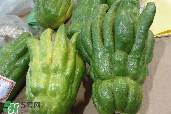 佛手與佛手瓜有什么區別？佛手與佛手鉗有什么區別