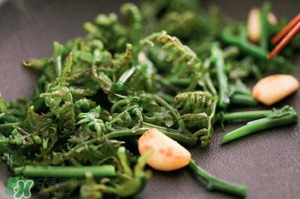 龍須菜怎么清洗？龍須菜怎么處理？