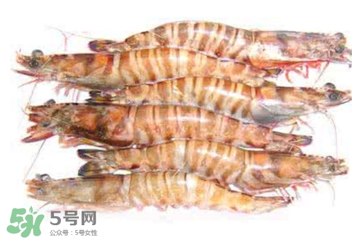 九節蝦是海蝦嗎？九節蝦是海蝦還是河蝦