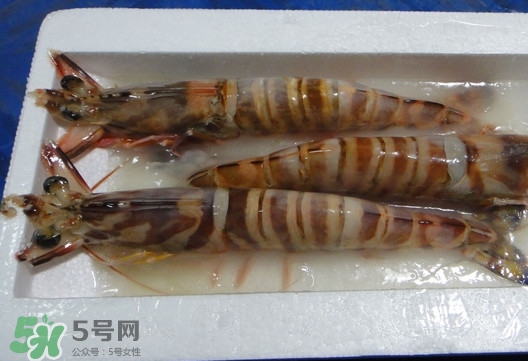 竹節蝦該怎么吃？竹節蝦怎么處理干凈