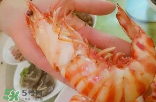 九節蝦是海蝦嗎？九節蝦是海蝦還是河蝦
