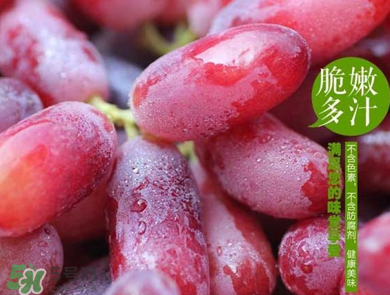 無籽紅提有涂避孕藥嗎？無籽紅提是轉基因嗎？