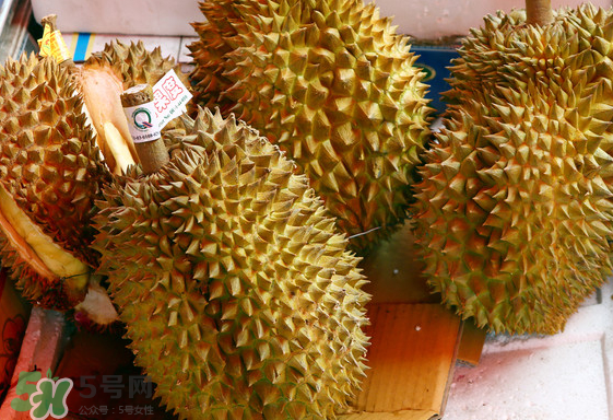 托曼尼榴蓮怎么才是熟？托曼尼榴蓮怎么看生熟？