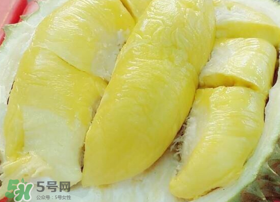 托曼尼榴蓮多大？托曼尼榴蓮好吃嗎？