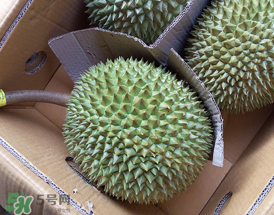 干堯榴蓮怎么樣算熟了？干堯榴蓮怎么挑選？