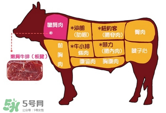 牛排是牛的哪個部位？牛排是牛身上哪塊肉？