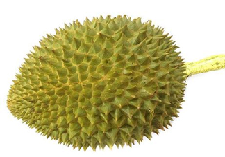托曼尼榴蓮多少錢(qián)？托曼尼榴蓮是哪里的？