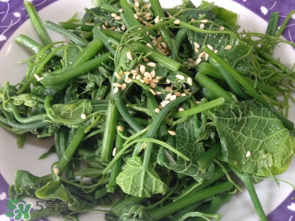 龍須菜怎么清洗？龍須菜怎么處理？