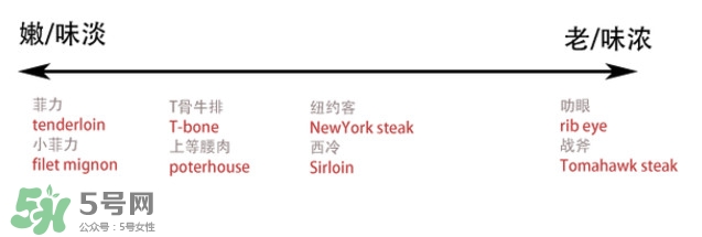 牛排是牛的哪個部位？牛排是牛身上哪塊肉？
