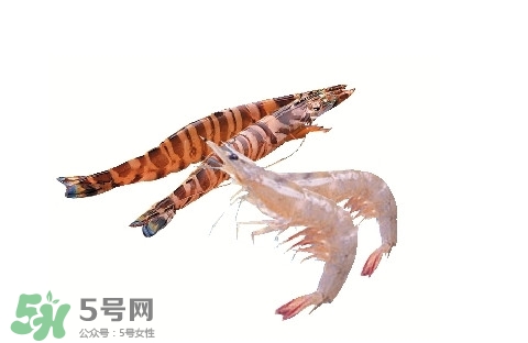 如何區分基圍蝦和竹節蝦？竹節蝦和基圍蝦的區別