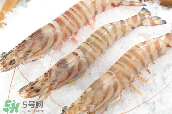 竹節蝦是海里的嗎？竹節蝦是海蝦還是河蝦