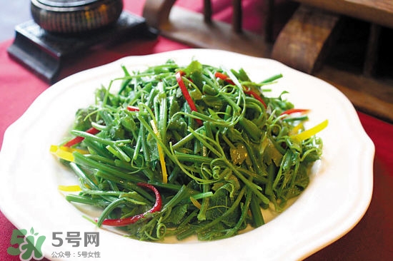 龍須菜是什么菜？龍須菜怎么吃？