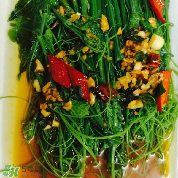 龍須菜怎么清洗？龍須菜怎么處理？
