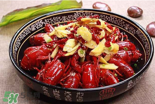 八月份還要小龍蝦？小龍蝦幾月份結束？