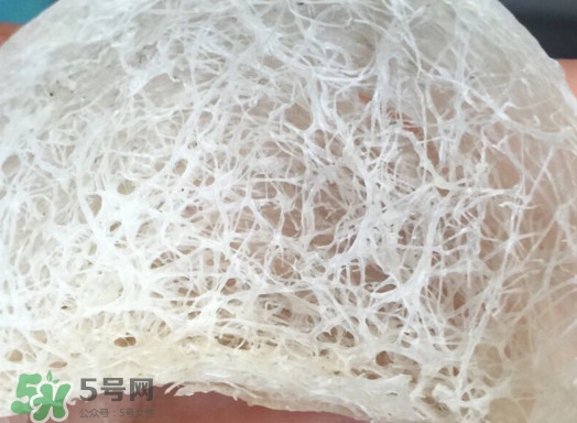 馬來(lái)西亞燕窩好還是印尼好？馬來(lái)西亞燕窩和印尼燕窩區(qū)別