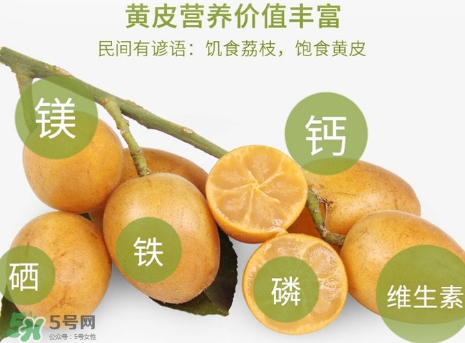黃皮果是小金橘嗎？黃皮果和小金橘的區別