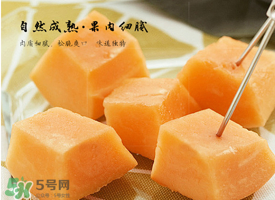 西州蜜瓜什么季節熟？西州蜜瓜幾月份成熟？