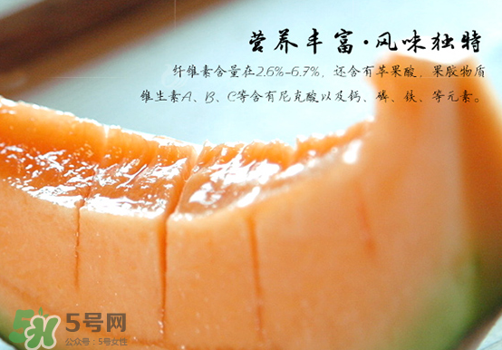 西州蜜瓜什么季節熟？西州蜜瓜幾月份成熟？