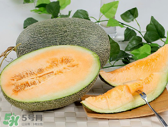 西州蜜瓜什么季節熟？西州蜜瓜幾月份成熟？