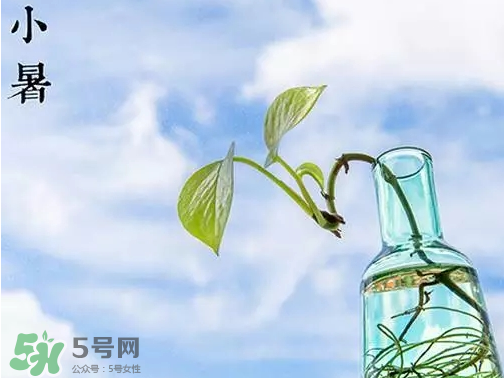 小暑是頭伏嗎？小暑是初伏嗎？
