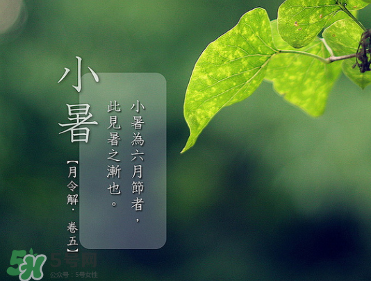 2017年小暑會(huì)下雨嗎？小暑這一天下雨好嗎？