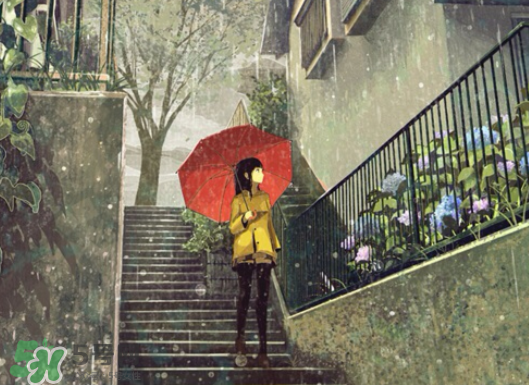 2017年小暑會(huì)下雨嗎？小暑這一天下雨好嗎？