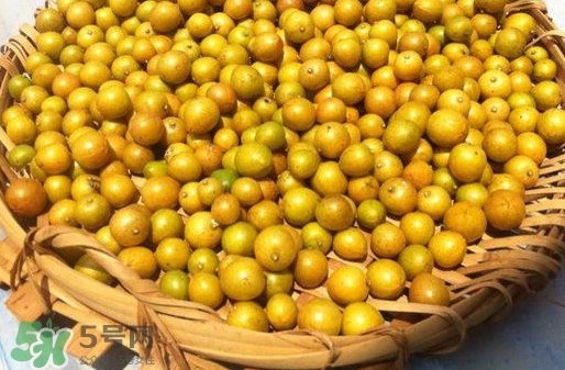 黃皮果是小金橘嗎？黃皮果和小金橘的區別