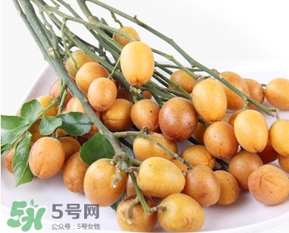 黃皮果是小金橘嗎？黃皮果和小金橘的區別