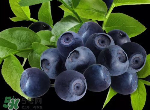 新鮮藍莓可以直接吃嗎？新鮮藍莓怎么吃才好吃？