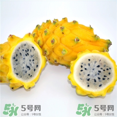麒麟果是哪里產的?麒麟果和火龍果的區別