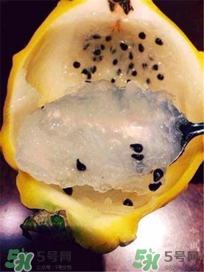 麒麟果是哪里產的?麒麟果和火龍果的區別
