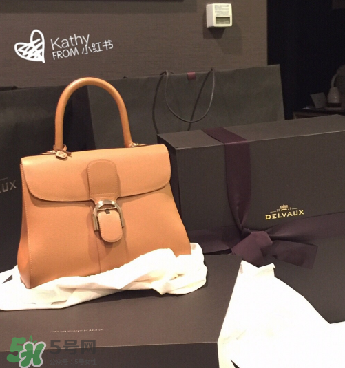 delvaux brilliant多少錢？德爾沃brilliant包包專柜價格