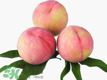 脆桃有什么營養？脆桃的營養價值