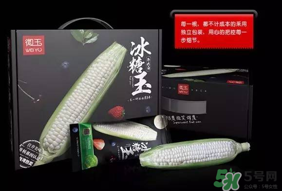 微玉冰糖玉米小孩可以吃嗎？微玉冰糖玉米營養豐富嗎？