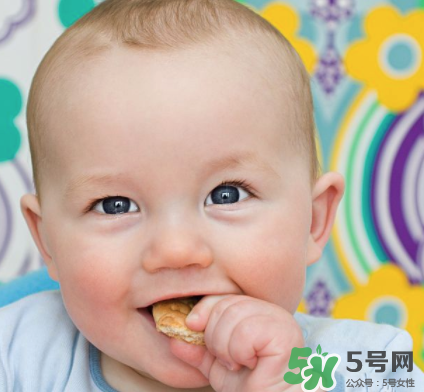 磨牙餅干吃不完怎么辦？磨牙餅干吃到多大？