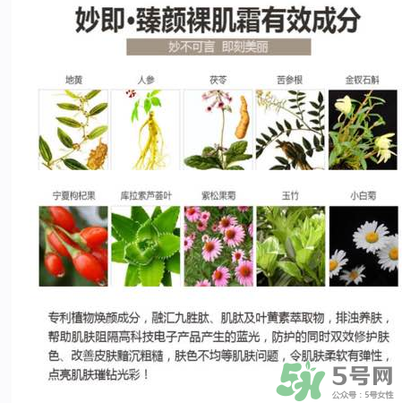 妙即素顏霜怎么樣？妙即素顏霜多少錢一盒？