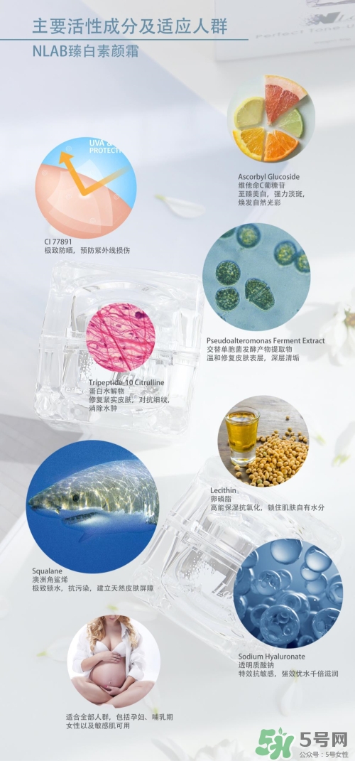 澳洲nlab素顏霜怎么用？nlab素顏霜孕婦可以用嗎