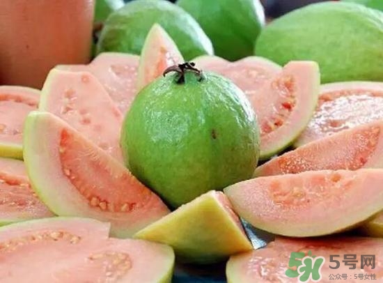 產婦可以吃番石榴嗎？坐月子可以吃番石榴嗎？