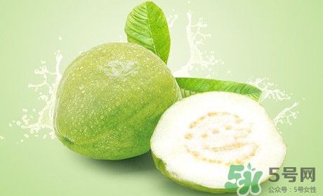 產婦可以吃番石榴嗎？坐月子可以吃番石榴嗎？